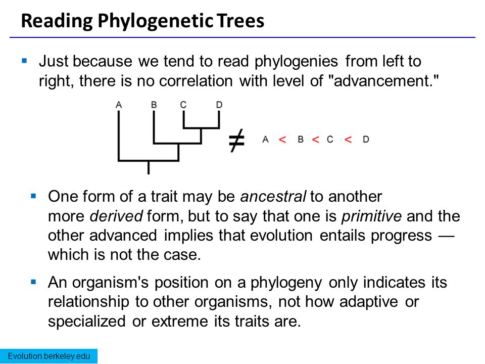 ebook representation theory