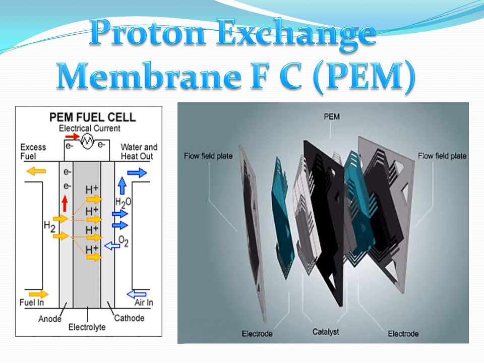 zinc-air cell,dendriticcell fuel cell. - ppt video online download