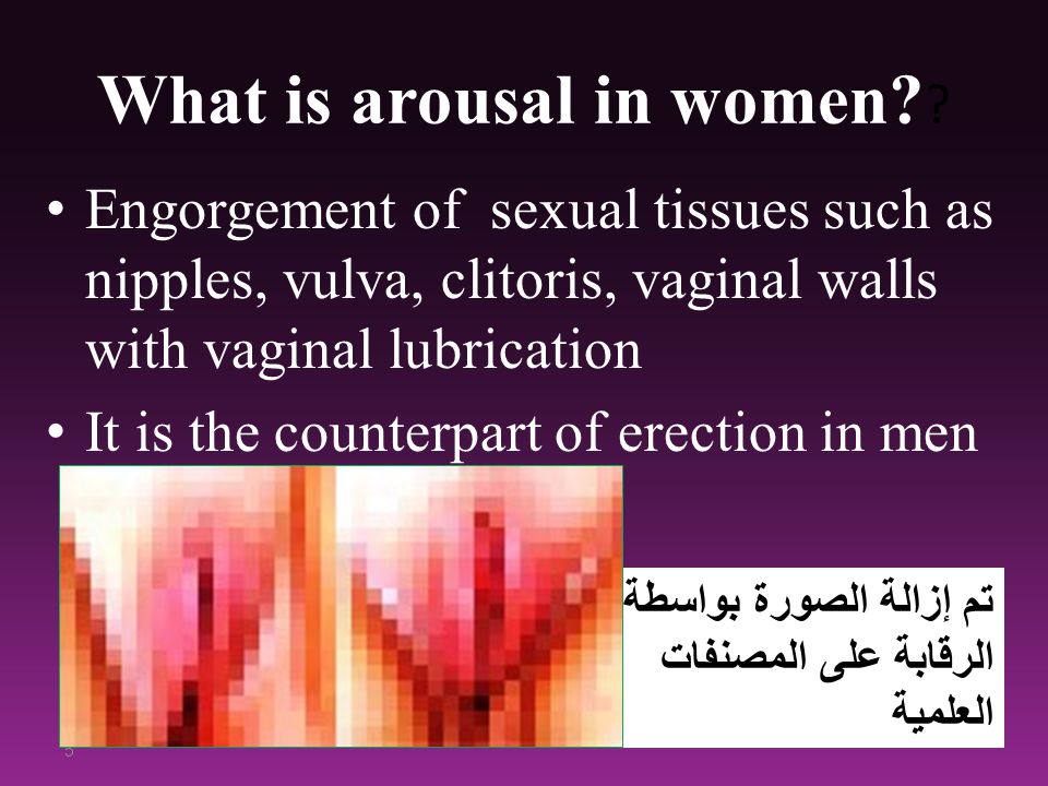 Arousal In Women Video 3