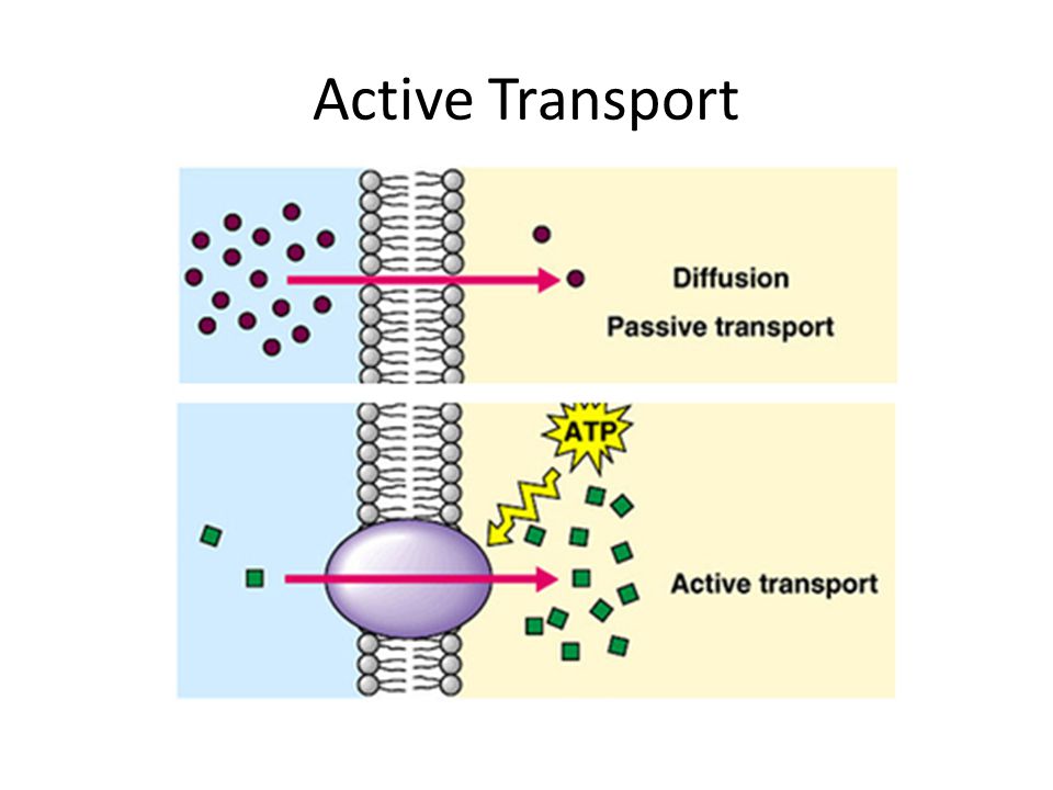 recent advances in gas separation by microporous ceramic