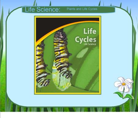 Plants and Life Cycles. Unit Launch Video Plants and Life Cycles.