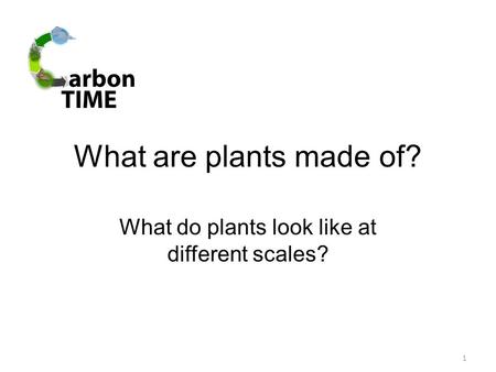 What are plants made of? What do plants look like at different scales? 1.