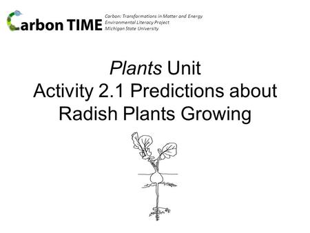 Carbon: Transformations in Matter and Energy Environmental Literacy Project Michigan State University Plants Unit Activity 2.1 Predictions about Radish.