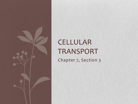 Chapter 7, Section 3 CELLULAR TRANSPORT. Overview of Lecture Passive Transport vs. Active Transport Types of Passive Transport Diffusion Facilitated diffusion.
