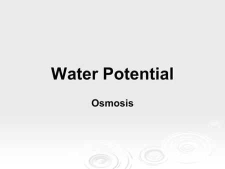 Water Potential Osmosis. Water potential  The combined effects of 1.) solute concentration 1.) solute concentration 2.) physical pressure (cell wall)