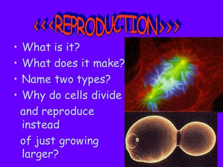 What is it? What does it make? Name two types? Why do cells divide and reproduce instead of just growing larger?