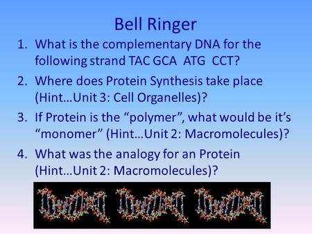 Bell Ringer 1.What is the complementary DNA for the following strand TAC GCA ATG CCT? 2.Where does Protein Synthesis take place (Hint…Unit 3: Cell Organelles)?