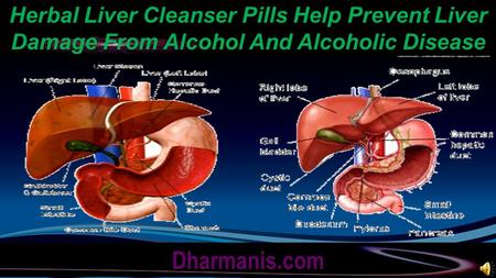 Herbal Liver Cleanser Pills Help Prevent Liver Damage From Alcohol And Alcoholic Disease Dharmanis.com.
