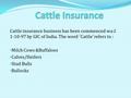 Cattle insurance business has been commenced w.e.f. 1-10-97 by GIC of India. The word `Cattle’ refers to : Milch Cows &Buffaloes Calves/Heifers Stud Bulls.