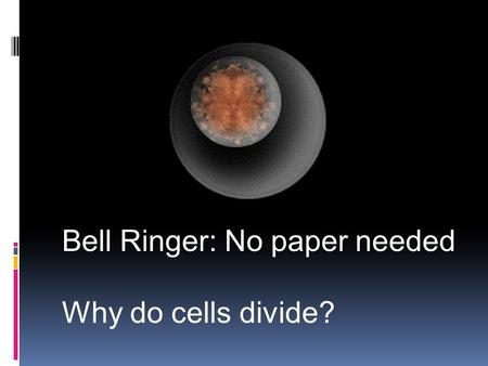 Bell Ringer: No paper needed Why do cells divide?.