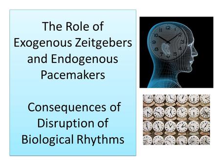 Consequences of Disrupting Biological Rhythms