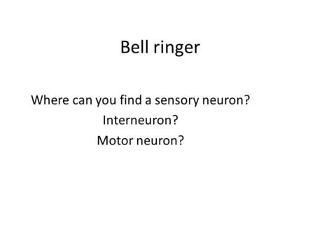 Bell ringer Where can you find a sensory neuron? Interneuron? Motor neuron?