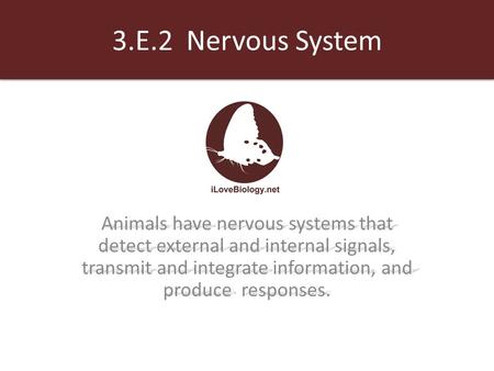 3.E.2 Nervous System Animals have nervous systems that detect external and internal signals, transmit and integrate information, and produce responses.