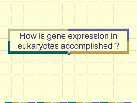 How is gene expression in eukaryotes accomplished ?