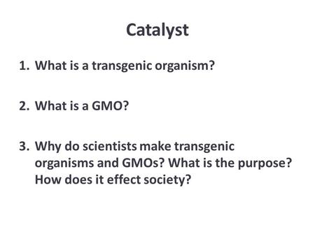 Catalyst 1.What is a transgenic organism? 2.What is a GMO? 3.Why do scientists make transgenic organisms and GMOs? What is the purpose? How does it effect.