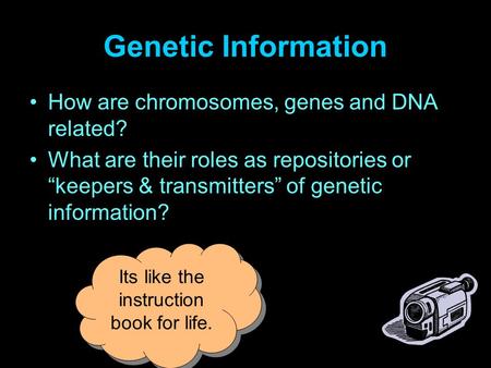 Genetic Information How are chromosomes, genes and DNA related? What are their roles as repositories or “keepers & transmitters” of genetic information?