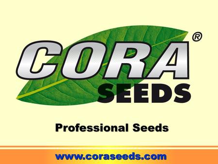 Professional Seeds www.coraseeds.com. WATERMELON.
