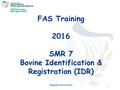 1 FAS Training 2016 SMR 7 Bovine Identification & Registration (IDR) Integrated Controls Division.
