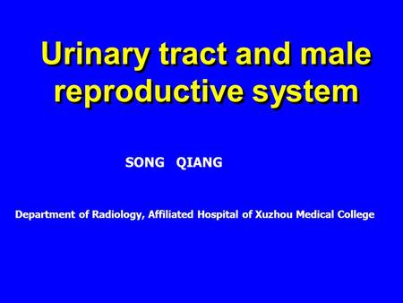 SONG QIANG Department of Radiology, Affiliated Hospital of Xuzhou Medical College Urinary tract and male reproductive system.