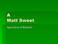 A Matt Sweet Agriculture of Babylon Agriculture In Mesopotamia they would raise sheep, cow, and goats. The people would hunt wild game birds and other.