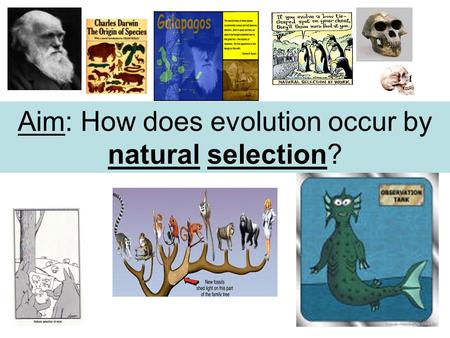 Aim: How does evolution occur by natural selection?