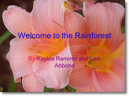 Welcome to the Rainforest By:Kaylee Ramirez and Lexi Abbona.