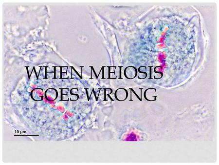When Meiosis goes wrong