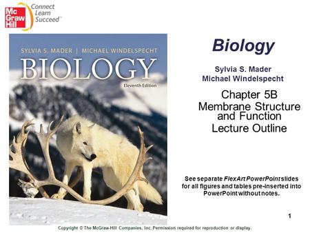 Biology Sylvia S. Mader Michael Windelspecht Chapter 5B Membrane Structure and Function Lecture Outline Copyright © The McGraw-Hill Companies, Inc. Permission.