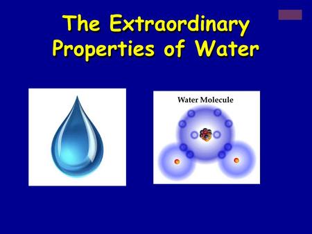 The Extraordinary Properties of Water. + Water A water molecule (H 2 O), is made up of three atoms --- one oxygen and two hydrogen. H HOHO.