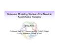 Molecular Modelling Studies of the Nicotinic Acetylcholine Receptor