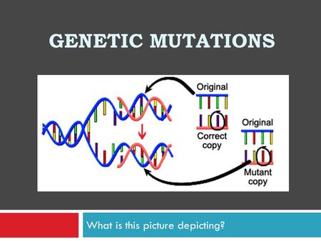 GENETIC MUTATIONS What is this picture depicting?.