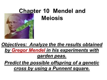 Chapter 10 Mendel and Meiosis Objectives: Analyze the the results obtained by Gregor Mendel in his experiments with garden peas. Predict the possible offspring.