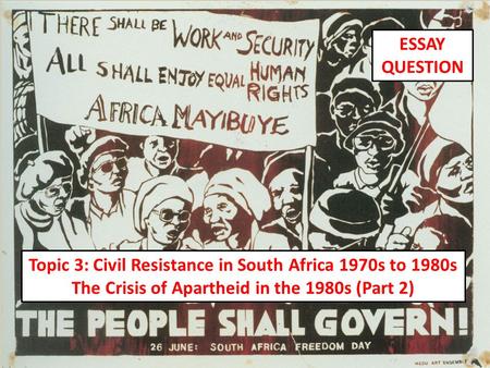 Resistance to apartheid essay