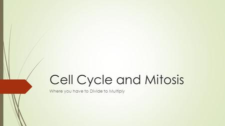Cell Cycle and Mitosis Where you have to Divide to Multiply.