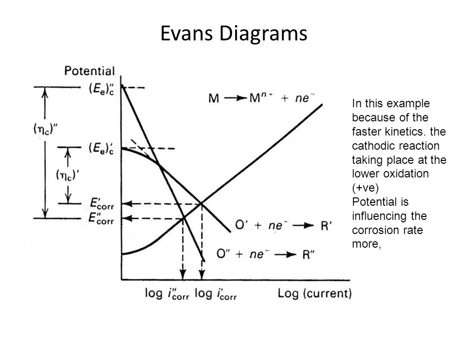 view our political nature the evolutionary origins of