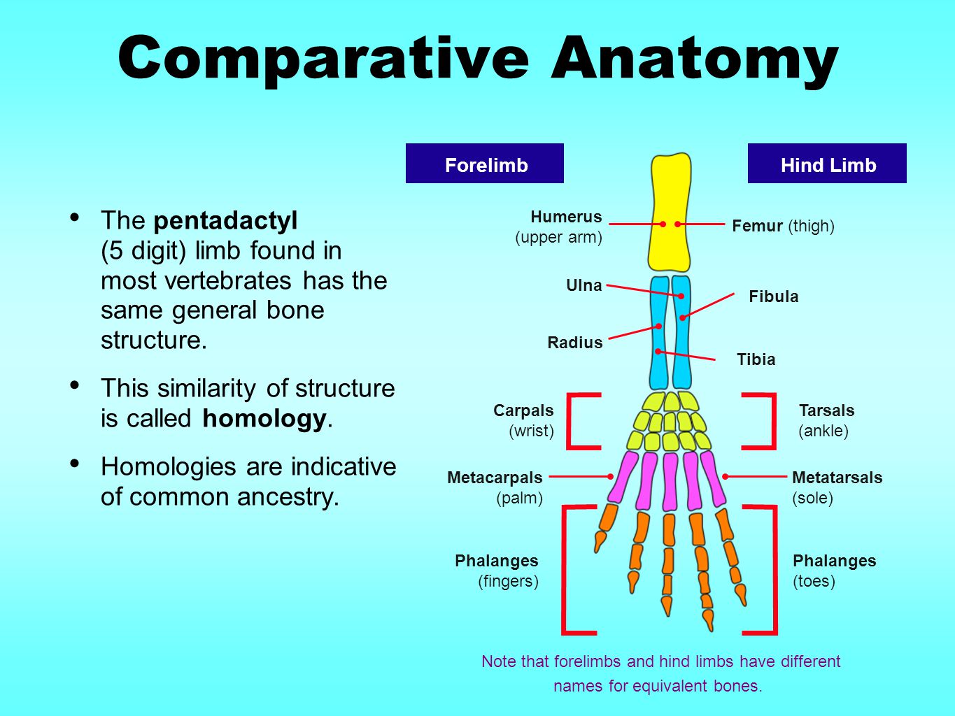 download genetics and