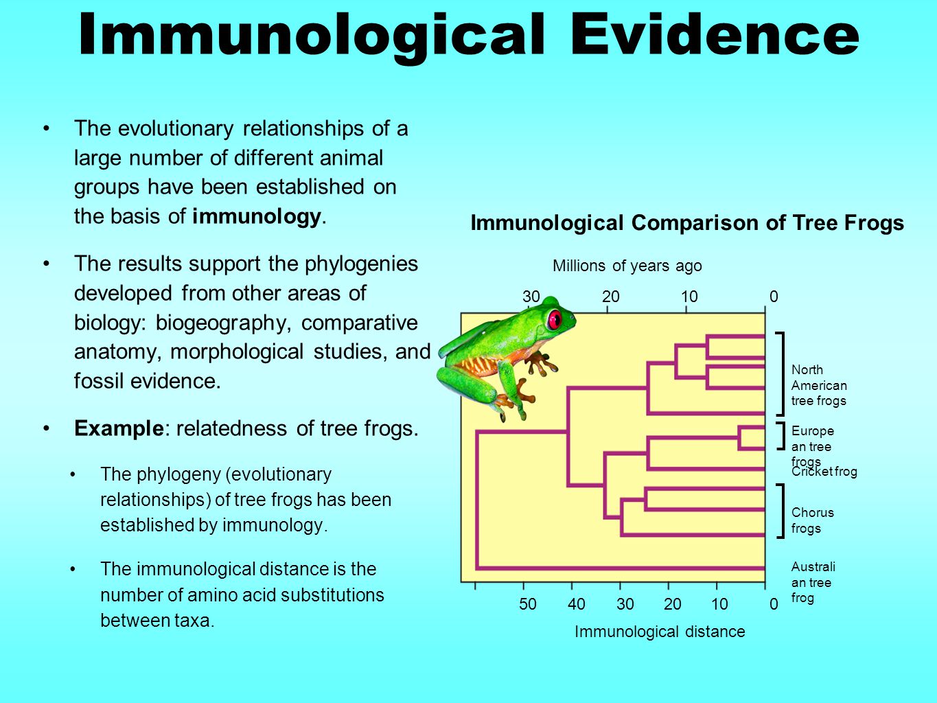 download conformal and