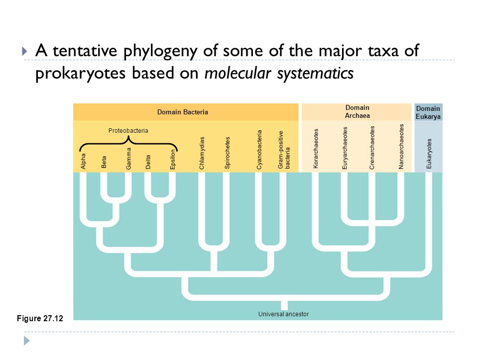 download molecular environmental soil science 2013