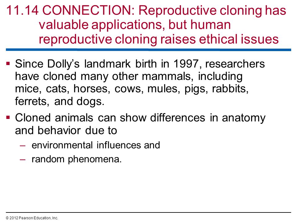 cloning a human completely ethical issues