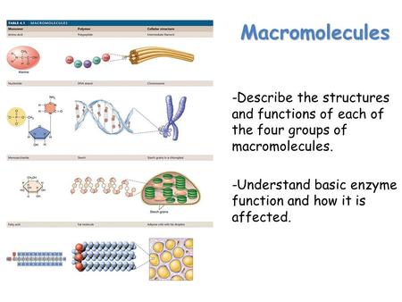 Lesson Overview Lesson Overview Carbon Compounds Macromolecules -Describe the structures and functions of each of the four groups of macromolecules. -Understand.
