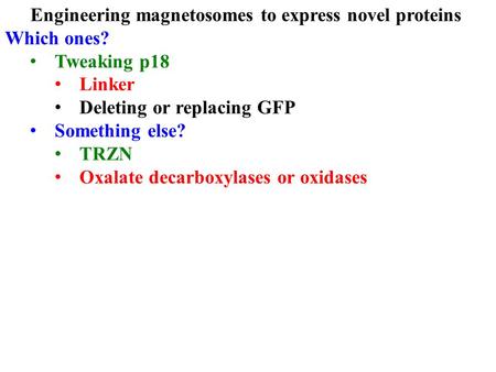 Engineering magnetosomes to express novel proteins Which ones? Tweaking p18 Linker Deleting or replacing GFP Something else? TRZN Oxalate decarboxylases.