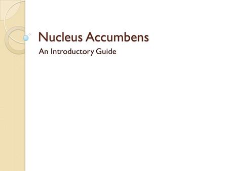 Nucleus Accumbens An Introductory Guide.