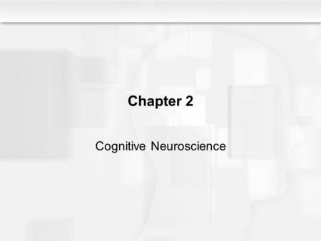Chapter 2 Cognitive Neuroscience. Some Questions to Consider What is cognitive neuroscience, and why is it necessary? How is information transmitted from.