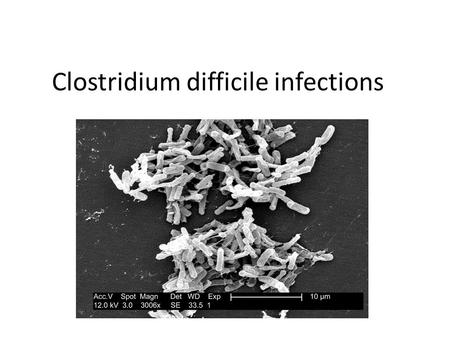 Clostridium difficile infections