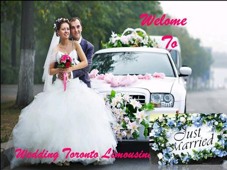 Welome To Wedding Toronto Limousine. Wedding Limo Services Wedding Limo Services Wedding Limo Services is the best way to find Wedding Transportation.