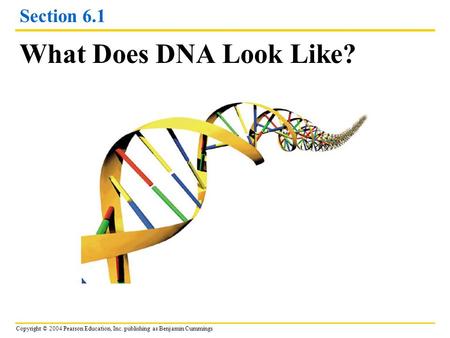Copyright © 2004 Pearson Education, Inc. publishing as Benjamin Cummings Section 6.1 What Does DNA Look Like?