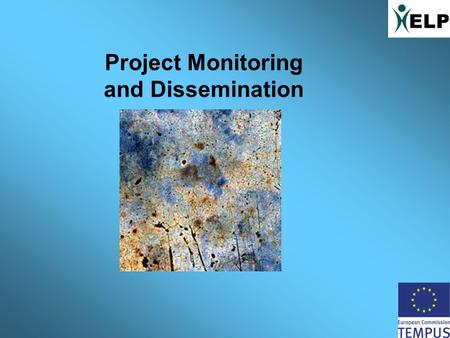 Project Monitoring and Dissemination. Monitoring Monitoring is an important and integral process in project work. Its purpose is to keep track of activities.