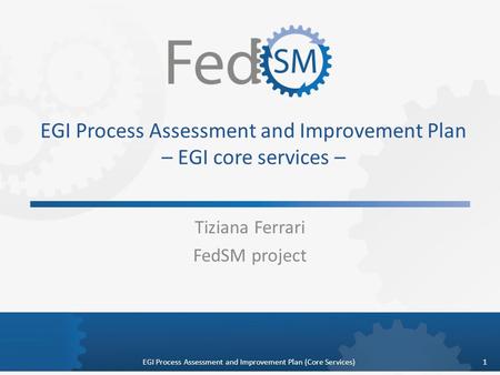EGI Process Assessment and Improvement Plan – EGI core services – Tiziana Ferrari FedSM project 1EGI Process Assessment and Improvement Plan (Core Services)