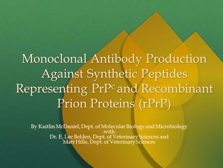 Monoclonal Antibody Production Against Synthetic Peptides Representing PrP c and Recombinant Prion Proteins (rPrP) By Kaitlin McDaniel, Dept. of Molecular.