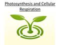 Photosynthesis and Cellular Respiration. How does your body get energy?